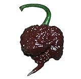 Chocolate Carolina Reaper HP22B Pepper Premium Seed Packet Record Hottest in The World + More photo / $6.99