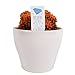 photo Costa Farms, Premium Live Indoor Desert Gems Orange Cacti, Tabletop Plant, White Gloss Euro Ceramic Decorator Pot, Shipped Fresh From Our Farm, Excellent Gift
