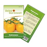 Stabtomaten Goldene Königin Samen - Solanum lycopersicum - Tomatensamen - Gemüsesamen - Saatgut für 20 Pflanzen foto / 1,99 € (0,10 € / stück)