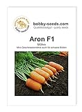 Aron F1, Mini Geschmacksmöhre Samen von Bobby-Seeds foto / 3,49 €