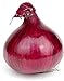 photo Red Grano Onion Seeds, 300 Heirloom Seeds Per Packet, (Short Day) Non GMO Seeds, Botanical Name: Allium cepa, Isla's Garden Seeds