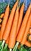 photo 1200 Tendersweet Carrot Seeds | Non-GMO | Fresh Garden Seeds