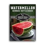 Survival Garden Seeds - Georgia Rattlesnake Watermelon Seed for Planting - Packet with Instructions to Plant and Grow Melons in Your Home Vegetable Garden - Giant Super Sweet Non-GMO Heirloom Variety photo / $4.99