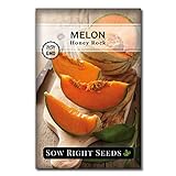Sow Right Seeds - Honey Rock Melon Seed for Planting  - Non-GMO Heirloom Packet with Instructions to Plant a Home Vegetable Garden photo / $4.99
