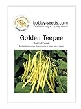 Bohnensamen Golden Teepee Buschbohne Portion foto / 1,75 €
