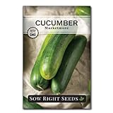 Sow Right Seeds - Marketmore Cucumber Seeds for Planting - Non-GMO Heirloom Packet with Instructions to Plant and Grow an Outdoor Home Vegetable Garden - Vigorous Productive - Wonderful Gardening Gift photo / $4.99