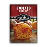 Survival Garden Seeds - Hillbilly Tomato Seed for Planting - Packet with Instructions to Plant and Grow Uniquely Colored Potato Leaf Tomatoes in Your Home Vegetable Garden - Non-GMO Heirloom Variety photo / $4.99