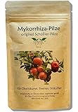 Mykorrhiza-Pilz Konzentrat für Obstbäume und Sträucher - original Schüßler-Pilze, bekannt aus Funk und Fernsehen, zur Verbesserung von Pflanzenwachstum und -Gesundheit foto / 9,95 €