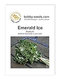 Kohlsamen Emerald Ice Bündelkohl Portion foto / 2,95 €