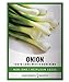 photo Green Onion Seeds for Planting - Tokyo Long White Bunching is A Great Heirloom, Non-GMO Vegetable Variety- 200 Seeds Great for Outdoor Spring, Winter and Fall Gardening by Gardeners Basics