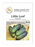 BIO-Gurkensamen Little Leaf Einlegegurke Portion foto / 1,95 €