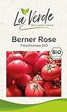 Berner Rose BIO Tomatensamen foto / 3,25 €