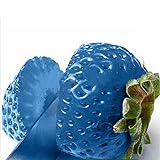 Samen für Gartenarbeit, 100 Stück Erdbeer-Samen, nahrhaft, köstlich, seltene Farben, Obst und Gemüse, Samen – Blau foto / 2,39 €