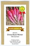 Rettich - Sommer- und Winterrettich - China Rose Winter (100 Samen) foto / 1,80 €