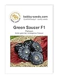 Kürbissamen Green Saucer F1 Portion foto / 2,75 €