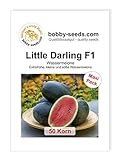 Melonensamen Little Darling F1 Wassermelone 50 Korn foto / 8,56 €