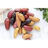 Simply Seed - 10 Piece - Fingerling Potato Seed Mix - Non GMO - Naturally Grown - Order Now for Spring Planting photo / $13.99