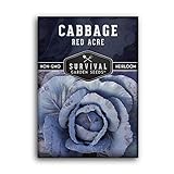 Survival Garden Seeds - Red Acre Cabbage Seed for Planting - Packet with Instructions to Plant and Grow Purple Cabbages in Your Home Vegetable Garden - Non-GMO Heirloom Variety photo / $4.99