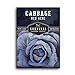 photo Survival Garden Seeds - Red Acre Cabbage Seed for Planting - Packet with Instructions to Plant and Grow Purple Cabbages in Your Home Vegetable Garden - Non-GMO Heirloom Variety