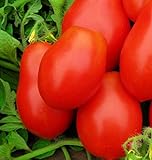 250 Roma VF Tomato Seeds | Non-GMO | Heirloom | Instant Latch Garden Seeds | Vegetable Seeds photo / $6.95