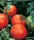 Burpee Celebrity' Hybrid | Slicing Red Tomato | Disease-Resistant, 35 Seeds photo / $7.17 ($0.20 / Count)