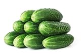 50 Straight Eight Cucumber Seeds - Heirloom Non-GMO USA Grown Vegetable Seeds for Planting - Pickling and Slicing Cucumber photo / $4.99 ($0.10 / Count)