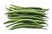 photo Green Bean Seeds for Planting - Provider - Bush Bean - 50 Seeds - Heirloom Non-GMO Vegetable Seeds for Planting