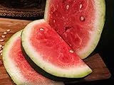 Bradford Watermelon Seed Packet Super Sweet Southern Heirloom photo / $6.99