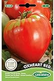 Germisem Oxheart Red Semillas de Tomate 2 g foto / 2,21 €
