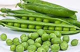 25 Cascadia Pea Seeds | Non-GMO | Heirloom | Fresh Garden Seeds photo / $5.95