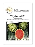 Melonensamen Tigrimini F1 Wassermelone Portion foto / 2,95 €