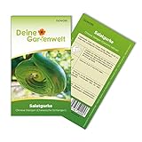 Freilandsalatgurke Chinese Slangen Samen - Cucumis sativus - Gurkesamen - Gemüsesamen - Saatgut für 10 Pflanzen foto / 1,99 € (0,20 € / stück)