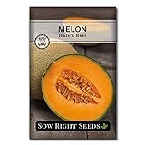 Sow Right Seeds - Hales Best Melon Seed for Planting  - Non-GMO Heirloom Packet with Instructions to Plant a Home Vegetable Garden photo / $4.99