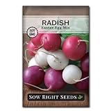Sow Right Seeds - Easter Egg Radish Seed for Planting - Non-GMO Heirloom Packet with Instructions to Plant and Grow an Indoor or Outdoor Home Vegetable Garden - Easy to Grow - Great Gardening Gift photo / $4.99