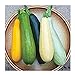 photo David's Garden Seeds Zucchini Summer Melody 9112 (Multi) 50 Non-GMO, Heirloom Seeds