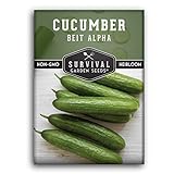 Survival Garden Seeds - Beit Alpha Cucumber Seed for Planting - Pack with Instructions to Plant and Grow Smooth Green Burpless Cucumbers in Your Home Vegetable Garden - Non-GMO Heirloom Variety photo / $4.99