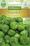Chrestensen Rosenkohl 'Rosella' mittelfrühe Sorte foto / 1,89 €