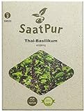 SaatPur Thai-Basilikum Samen für ca. 150 Pflanzen foto / 3,99 €
