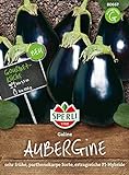 80667 Sperli Premium Aubergine Samen Galine | Frühe Sorte | Ertragreich | Aubergine Saatgut | Auberginen Samen foto / 3,38 €