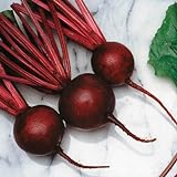 Beet Seeds - Kestrel Variety Seeds - Untreated - Variety Seeds - Non-GMO - 250 Seeds photo / $4.99 ($0.02 / Count)