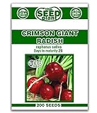 Crimson Giant Radish Seeds - 200 Seeds Non-GMO photo / $1.59 ($0.01 / Count)