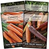 Sow Right Seeds - Carrot Seed Collection for Planting - Rainbow, Nantes, Imperator, and Kuroda Varieties - Non-GMO Heirloom Seeds to Plant a Home Vegetable Garden - Great Gardening Gift photo / $9.99