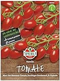 Sperli Premium Tomaten Samen Ravello ; Mini San Marzano ; Cherrytomaten ; Tomaten Saatgut foto / 5,77 €
