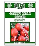 Cherry Belle Radish Seeds - 200 Seeds Non-GMO photo / $1.59