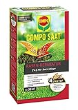 Compo SAAT Rasen-Reparatur-Mix, Mischung aus Rasensamen und Rasendünger mit 3 Monate Langzeitwirkung, 1,2 kg, 50 m² foto / 26,99 € (22,49 € / kg)