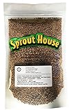 The Sprout House Certified Organic Non-GMO Sprouting Seeds Radish Mix Daikon Radish, and/or Triton Radish (Purple Stems/Green Leaves) and/or China Red Radish 1 Pound photo / $16.05 ($1.00 / Ounce)