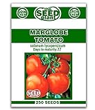 Marglobe Tomato Seeds - 250 Seeds Non-GMO photo / $1.59 ($0.01 / Count)