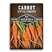 photo Survival Garden Seeds - Little Fingers Carrot Seed for Planting - Packet with Instructions to Plant and Grow Delicious Baby Carrots in Your Home Vegetable Garden - Non-GMO Heirloom Variety - 1 Pack