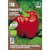 Semillas ecológicas de pimiento quadrato d'asti rosso foto / 1,85 €