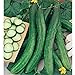 photo Cetriolo Chinese Slangen Cucumbers Seeds (20+ Seeds) | Non GMO | Vegetable Fruit Herb Flower Seeds for Planting | Home Garden Greenhouse Pack